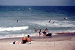 Swimming, surfing, swimming, tanning.
