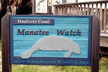 Manatees are often here in warm weather