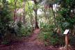 Oak Hammock trail - 3/4 mile. Palm Hammock trail - 2 miles.